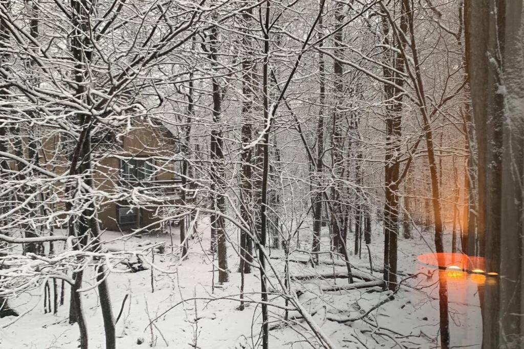 Holiday home Relaxing And A Total Escape Tobyhanna